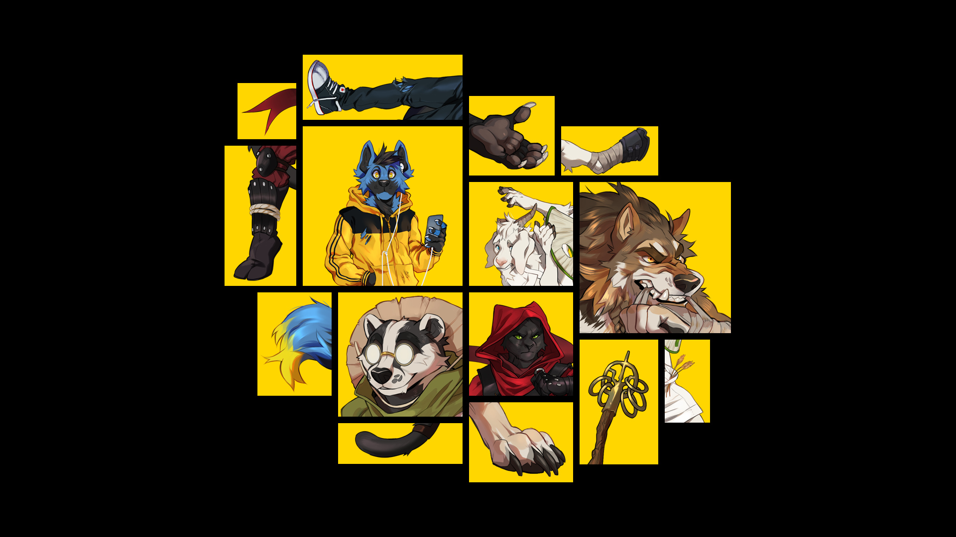Coloured rectangles feature disorientating snapshots of animals in various styles of clothing and states of disarray