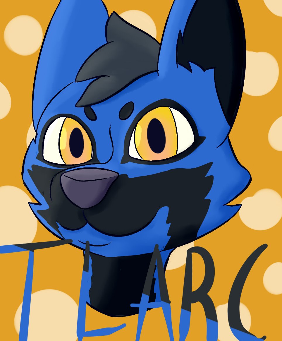 A cute picture of a blue fox laid over yellow polka dots